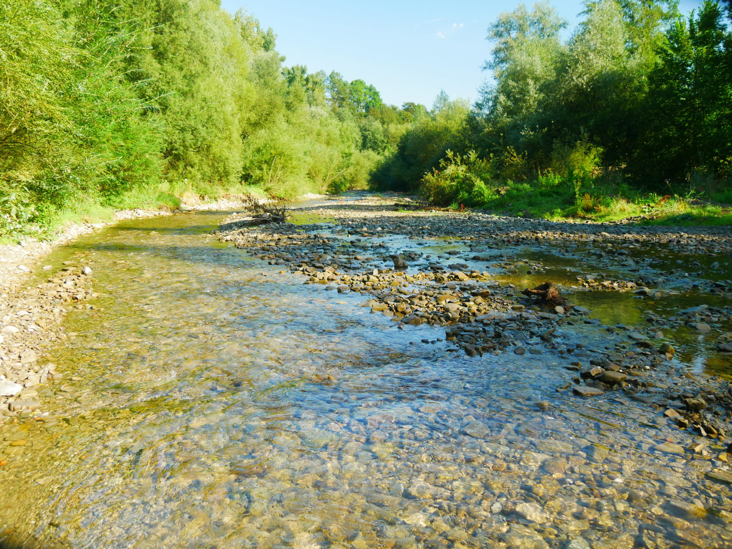 am Bach Überallpenner
