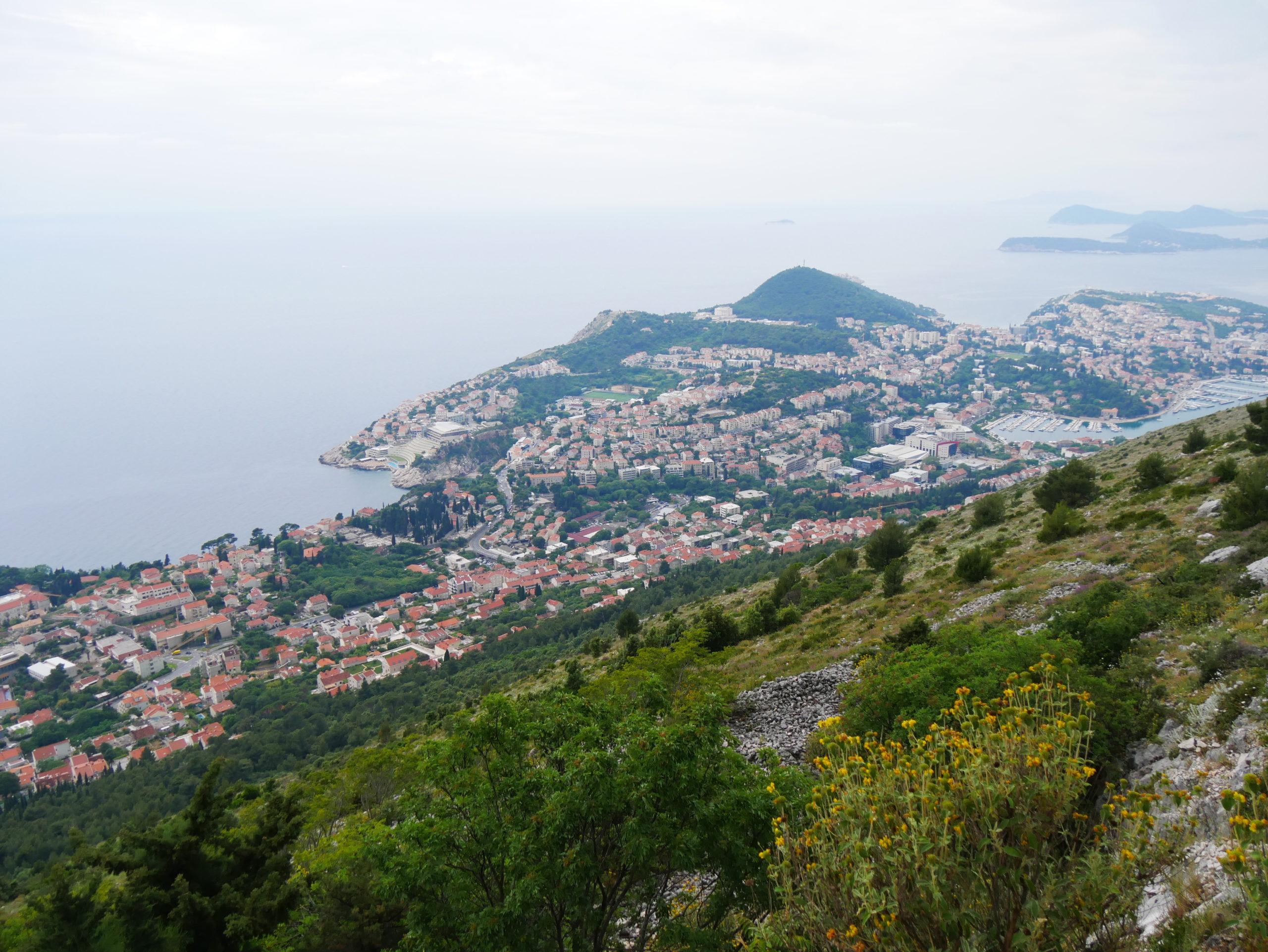 Dubrovnik Überallpenner